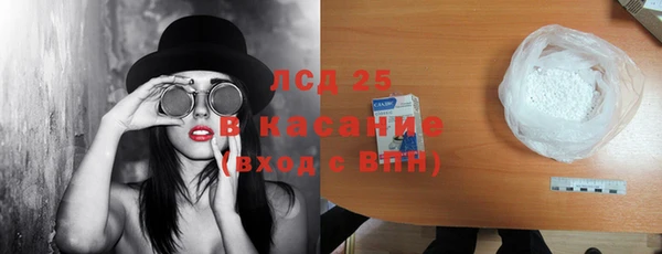 альфа пвп Гусев