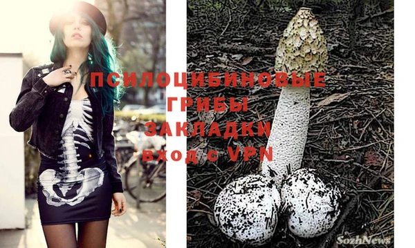 каннабис Гусиноозёрск