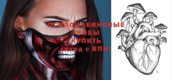 альфа пвп Гусев